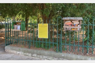 Avenue Sadi Carnot