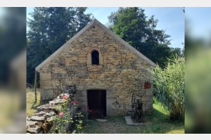 Le Lavoir aux livres